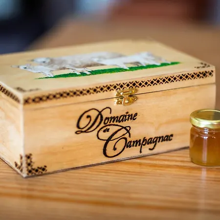 Domaine De Campagnac - & Sauna Carsac-Aillac