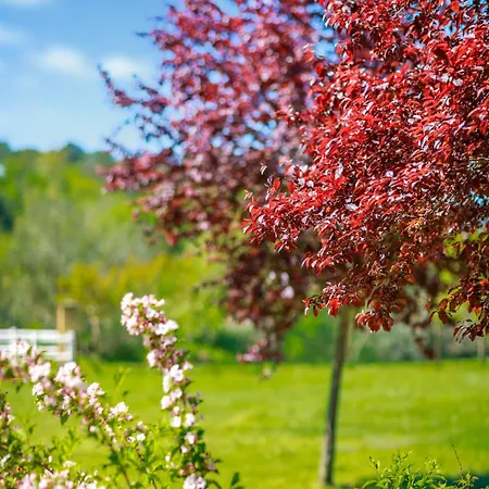 Domaine De Campagnac - & Sauna 4*