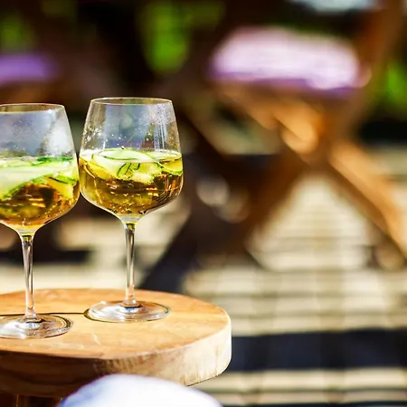 Domaine De Campagnac - & Sauna Bed and breakfast Carsac-Aillac